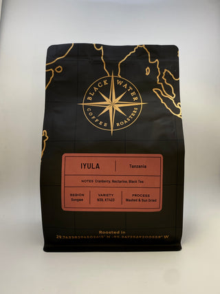 Black coffee bag with gold accents featuring 'Black Water Coffee Roasters' on a white background with a Iyula (Tanzania) label